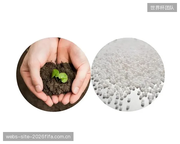 寻找可降解、高性能的生物基橡胶替代品，将成为未来五年地板减震材料研发的核心战场